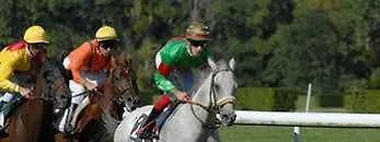 Terres De France - شقة فندقية لاروش بوزيه